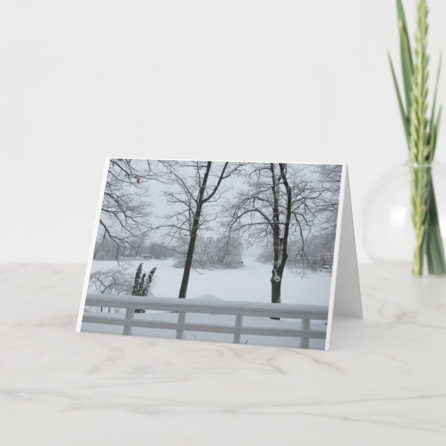 Tarjeta Pine Lake #2 Cove Winter (Anverso)