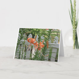 Tarjeta Pine Lake Lilies