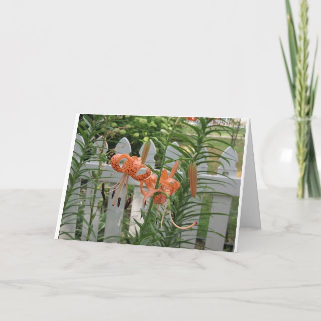 Tarjeta Pine Lake Lilies (Anverso)