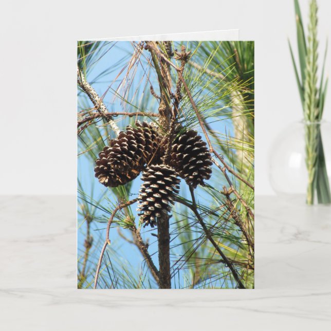 Tarjeta Pine Tree (Anverso)