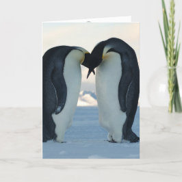 Tarjeta Pingüino