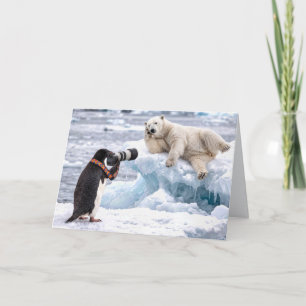 Tarjeta Pingüino de cumpleaños fotografiando a un oso pola