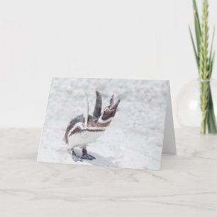 Tarjeta Pingüino de grito