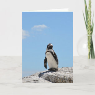 Tarjeta Pingüino lindo solitario y cielo azul
