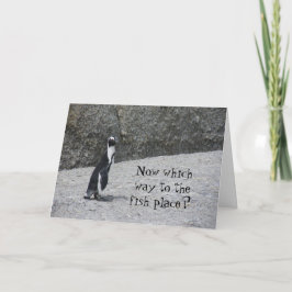 Tarjeta Pingüino perdido