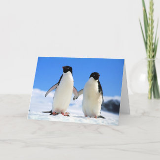 Tarjeta pingüinos de los amantes
