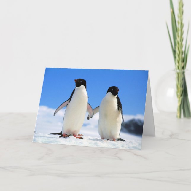 Tarjeta pingüinos de los amantes (Anverso)