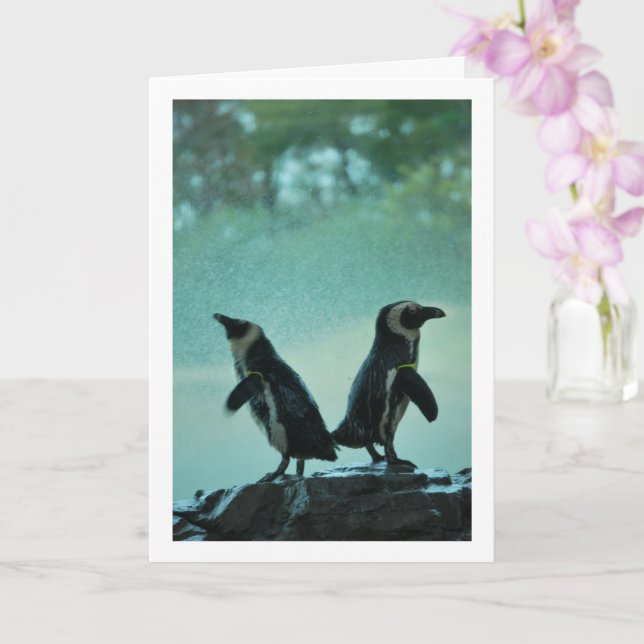 Tarjeta Pingüinos en retrato de rock (Orquídea)