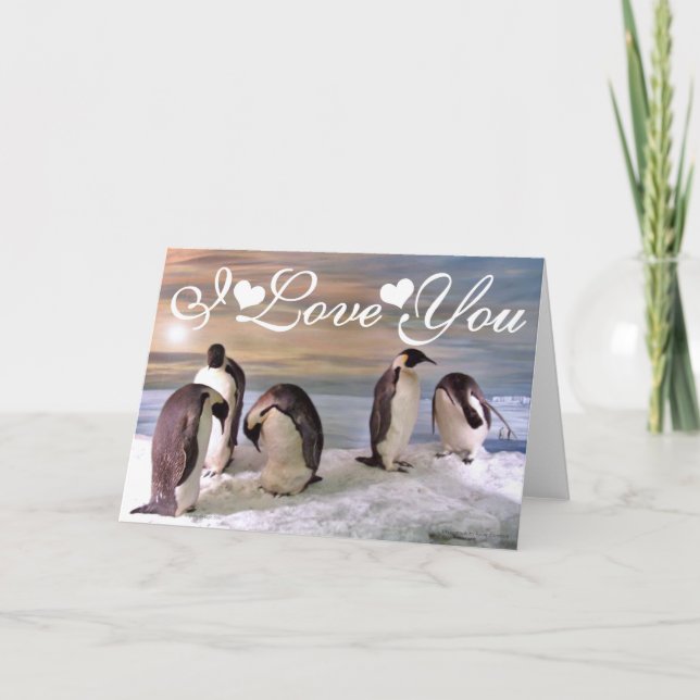 Tarjeta Pingüinos rey Foto Imagen Te Amo (Anverso)