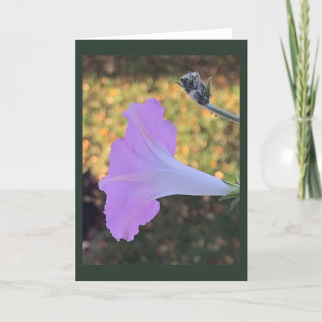 Tarjeta Pink and Gold Sparkle Morning Glory Blank  (Anverso)