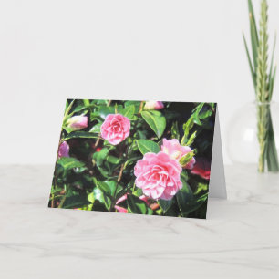 Tarjeta Pink Camellias Greeting Card