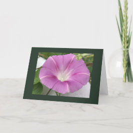 Tarjeta Pink Charm Morning Glory Blank