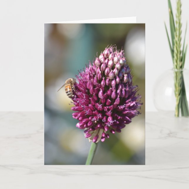 Tarjeta Pink Clover (Anverso)