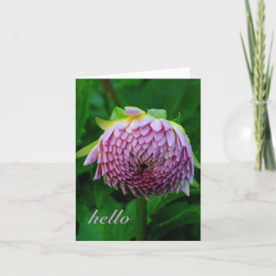 TARJETA PINK DAHLIA