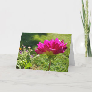 Tarjeta Pink Dahlia