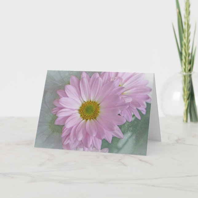 Tarjeta Pink Daisy (Anverso)