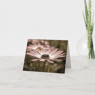 Tarjeta Pink Daisy Macro Notecard