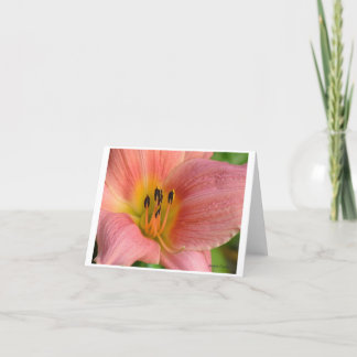 Tarjeta Pink Daylily