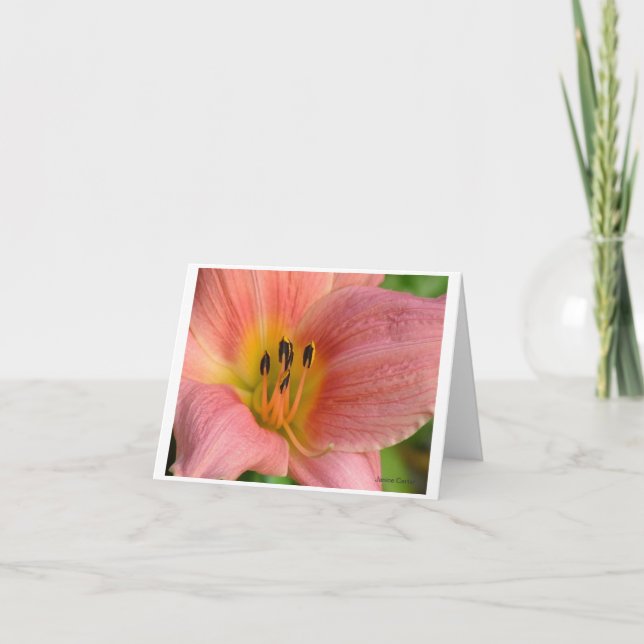 Tarjeta Pink Daylily (Anverso)