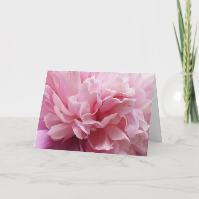 Tarjeta Pink Flower Blank Greeting Card (Anverso)