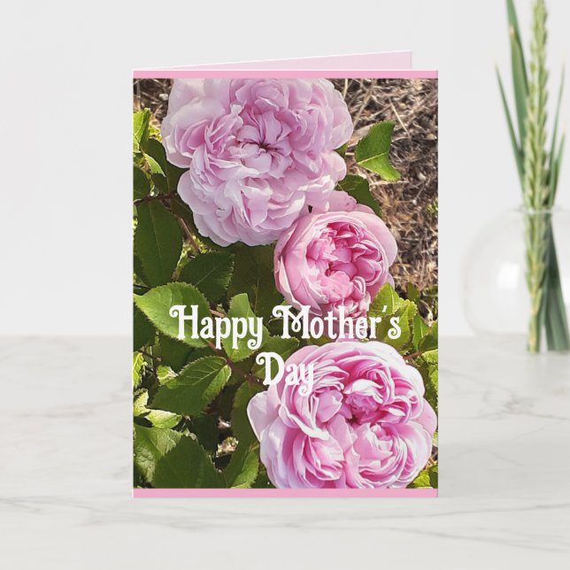 Tarjeta Pink Flowers Floral Rose Roses Mothers Day Card (Anverso)