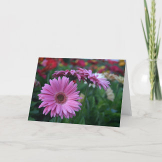 Tarjeta Pink Gerbera Daisies
