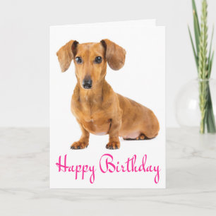 Tarjeta Pink Happy Birday Dachshund Puppy Dog Card