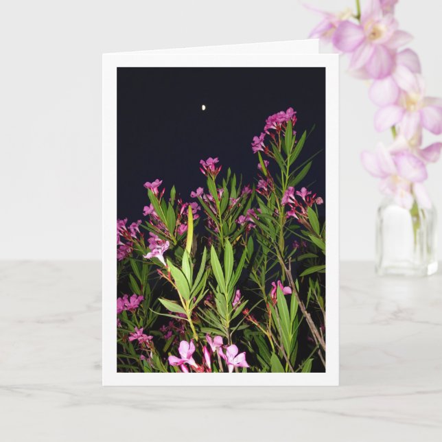 Tarjeta Pink Oleander en la noche (Orquídea)