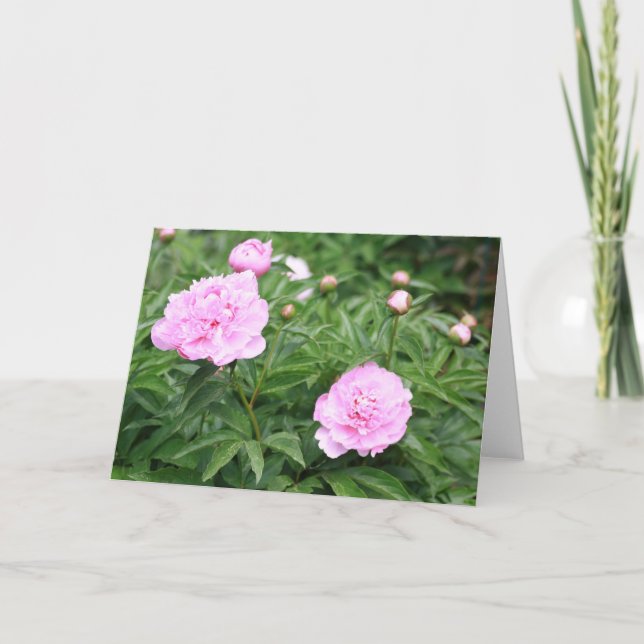 Tarjeta Pink Peony (Anverso)