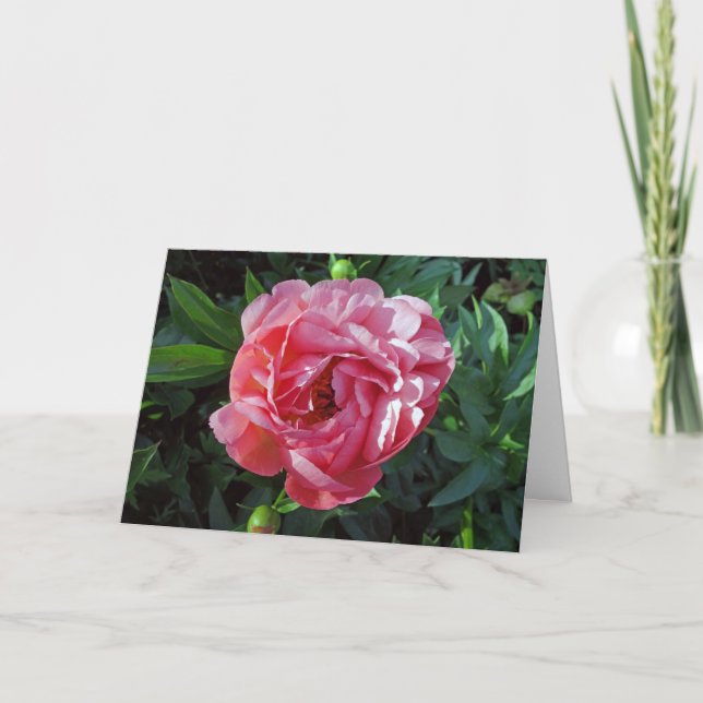 Tarjeta Pink Peony (Anverso)
