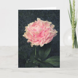Tarjeta Pink Peony