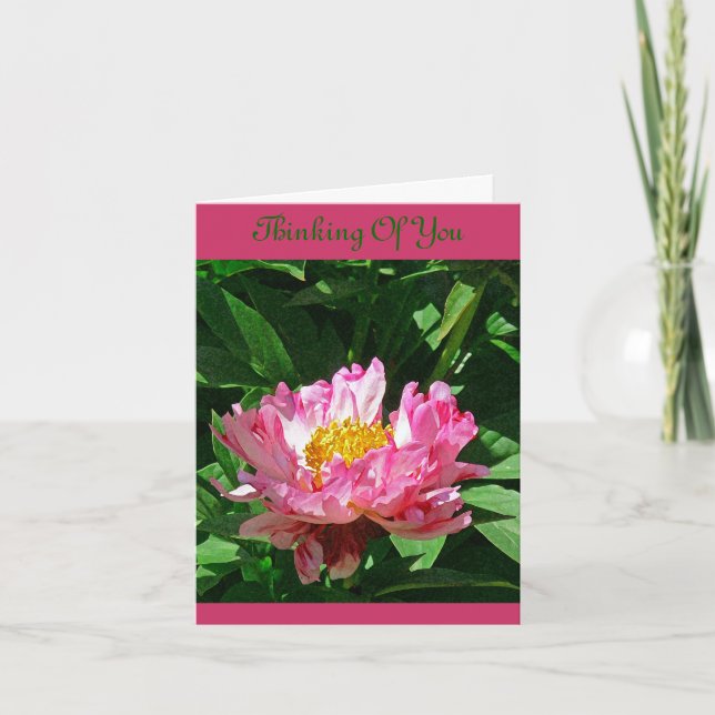 TARJETA "PINK PEONY/THINKING OF YOU" NOTECARD (FOTOG) (Anverso)
