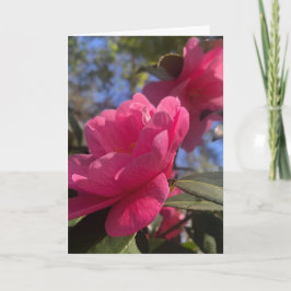 Tarjeta Pink Petals 1 - Folded Greeting Card