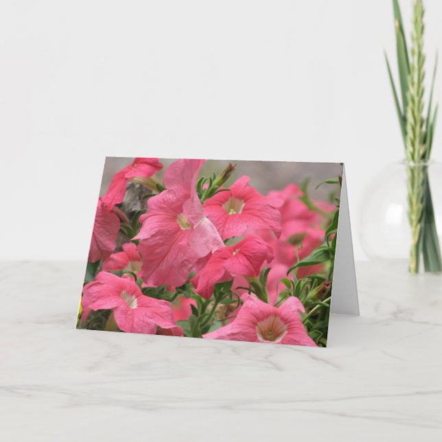 Tarjeta Pink Petunias (Anverso)