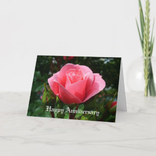 Tarjeta pink rose anniversary card