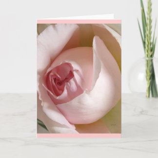 Tarjeta Pink Rosebud Greeting Card