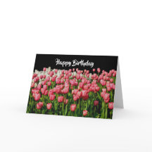 Pink Tulip Happy Birday