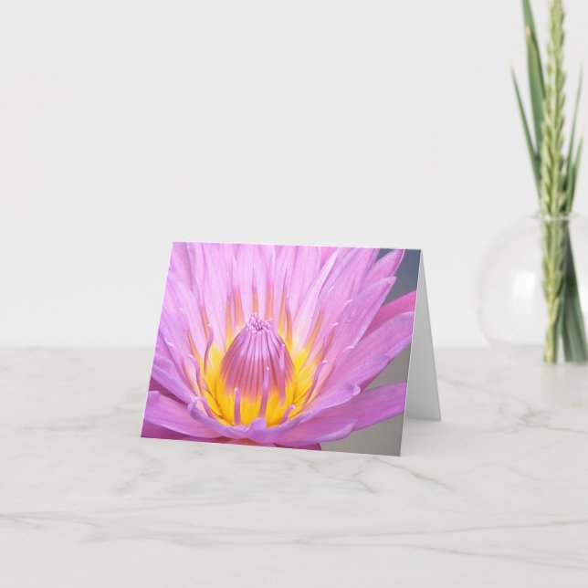 Tarjeta Pink Waterlily Notecard (Anverso)