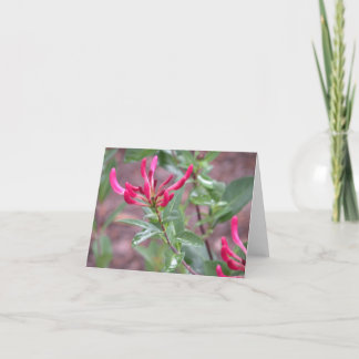 Tarjeta pinkflower del notecard