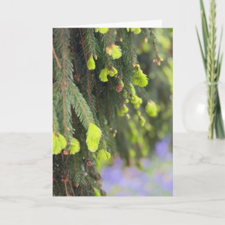 Tarjeta Pino Perenne de Navidad Bosque Invernal