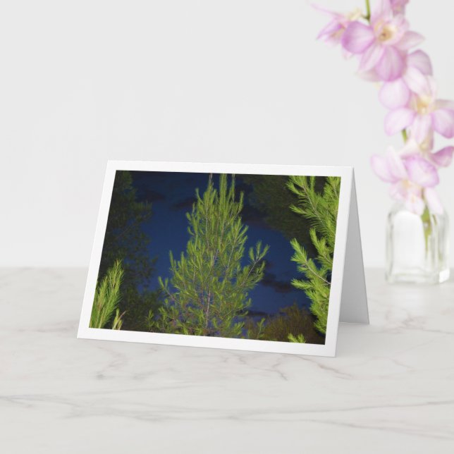 Tarjeta Pinos por la noche (Orquídea)
