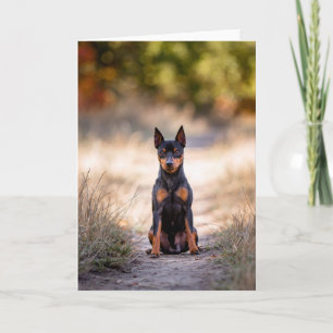 Tarjeta Pinscher Miniatura Sentado