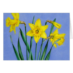 Tarjeta pintada amarillo del arte de los narcisos