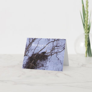 Tarjeta Pintando De Vista Eagle Pensando En Ti