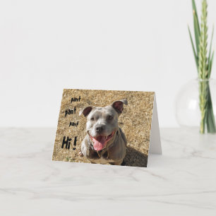 Tarjeta Pintando Pitbull Hi Notecard