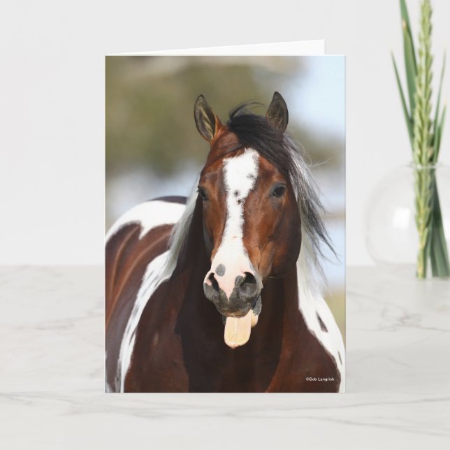 Tarjeta Pintar Stallion con imagen de cabeza de Tongue Out (Anverso)