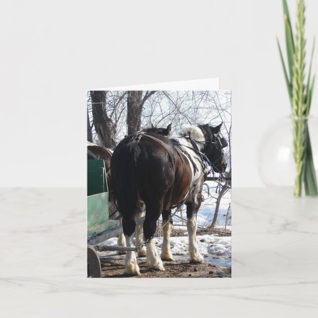 Tarjeta Pinto Caballos Borradores (Anverso)