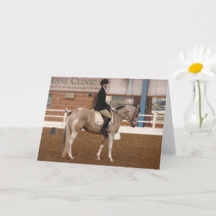 Tarjeta Pinto Dressage Horse