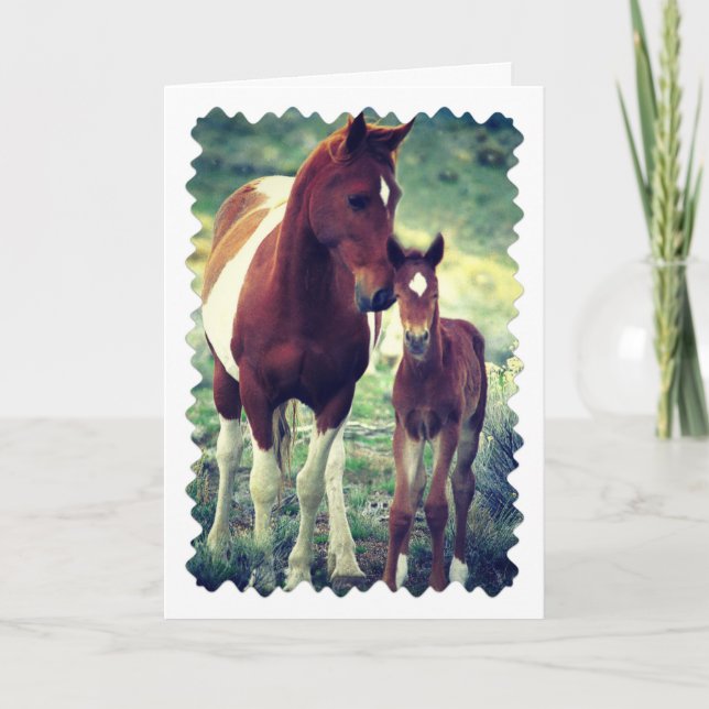 Tarjeta Pinto Mare y Foal, Cumpleaños (Anverso)