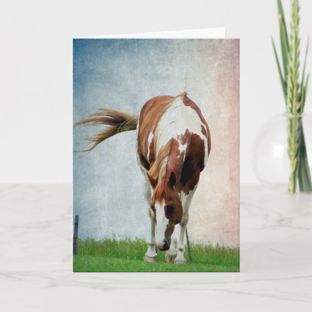 Tarjeta Pintopferd, Alles Gute Zum Geburtstag (Anverso)